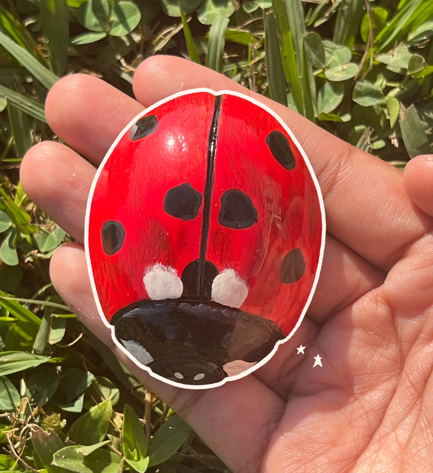 Jumbo Ladybug Magnets