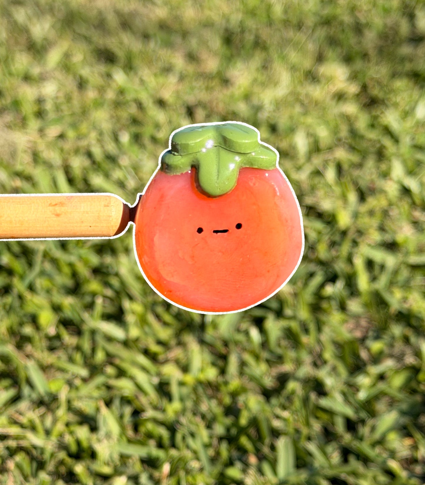 Fancyberry Worrystone (Magnetic)